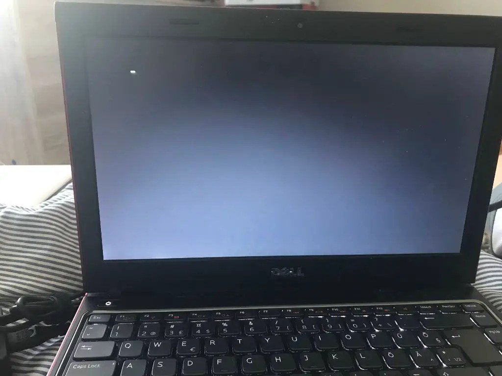 Laptop Is Stuck on Black Screen Get Your Display Back